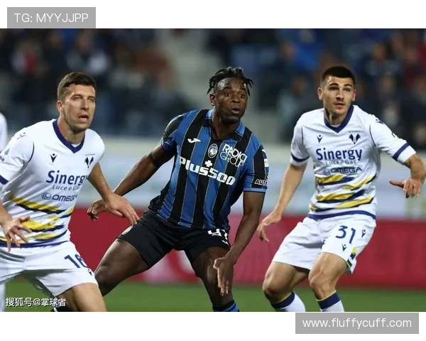 亚特兰大防守体系