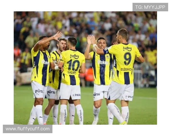 费内巴切球队结构