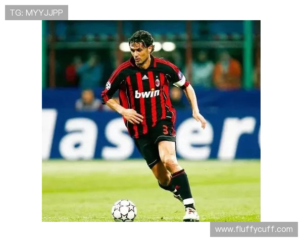 马尔蒂尼职业影响