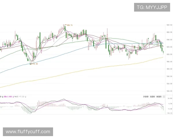 吉达联合近期表现波动,能否重回巅峰引关注