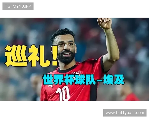 萨拉赫世界杯胜率预测