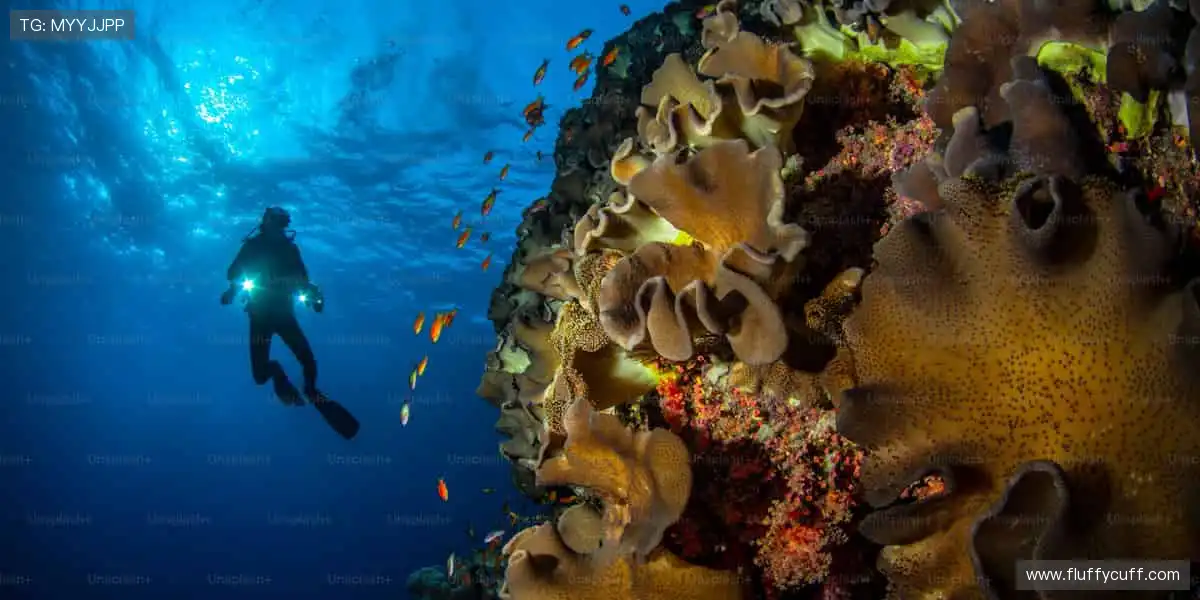 专业装备，轻松掌控赛场！🎾 品质与潮流，为你的热爱加冕！